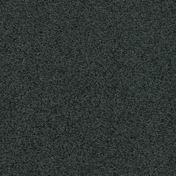 T371380 T371380